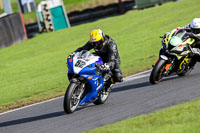 anglesey;brands-hatch;cadwell-park;croft;donington-park;enduro-digital-images;event-digital-images;eventdigitalimages;mallory;no-limits;oulton-park;peter-wileman-photography;racing-digital-images;silverstone;snetterton;trackday-digital-images;trackday-photos;vmcc-banbury-run;welsh-2-day-enduro